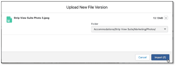 upload a new version of a file