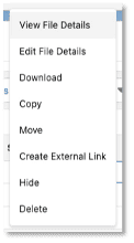 common file and folder tasks